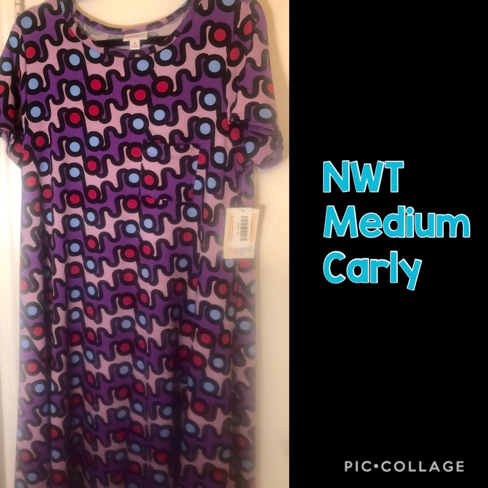 NWT medium Carly